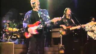 Lee Roy Parnell Love Without Mercy