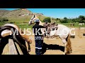 HILLTOP DAN LEBOWITZ NO COPYRIGHT MUSIC