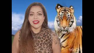 A LIMPEZA DA TERRA ESTÁ QUASE COMPLETA #motivacional #resiliência #gratidão 