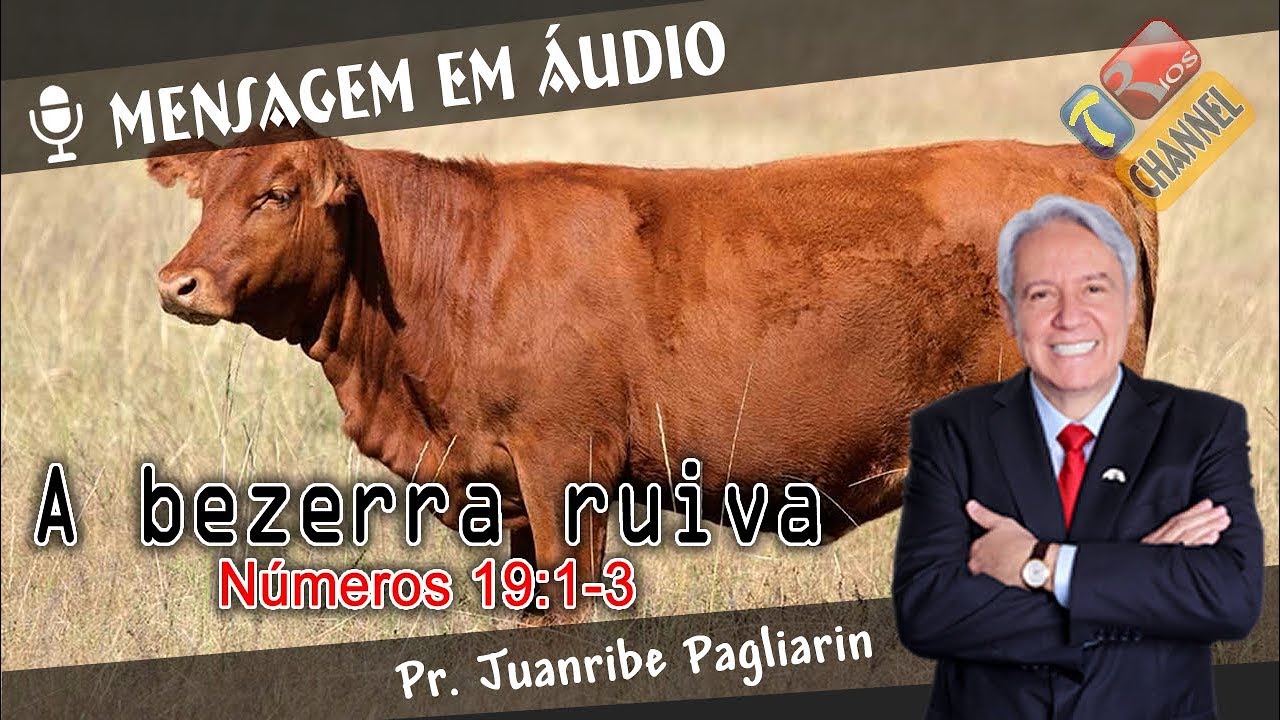 A bezerra ruiva - Pr. Juanribe Pagliarin - Pregação Evangélica (Mensagem em Áudio)