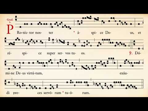 Graduel Protector noster du 5e dimanche après la Pentecôte - Ermitage Saint-Bède - Ciné Art Loisir
