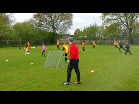 Dribbelfestival & Multimove