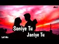 Soniye Tu Janiye Tu ||  Lofi Remix || Slow & Reverb || SR Lofi #slowed #reverb