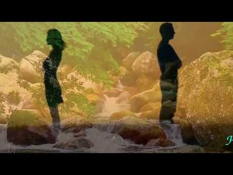 Hững hờ Sheet - Thành Phố Biển