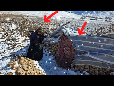 Abandoned by Her Son, a Mother Survives Alone in the Mountains Through Heavy Snow