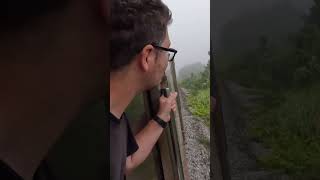 Welcome to the JUNGLE TRAIN! #train #jungle #viralvideo #malaysia