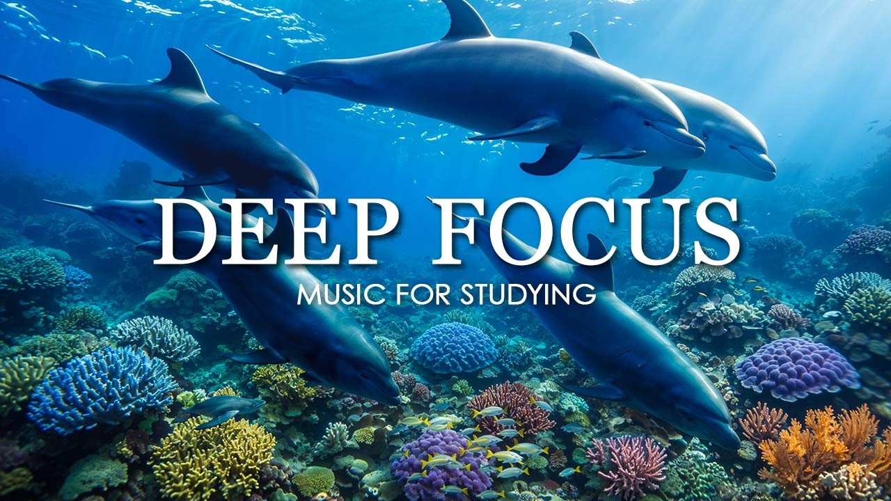 Deep Work Music for Concentration - 12 Hours of Ambient Study Music to Concentrate #64