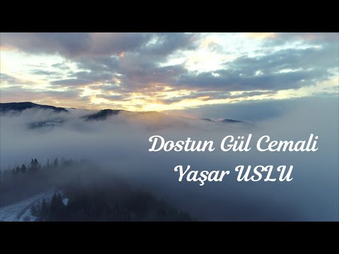 Yaşar USLU - Dostun Gül Cemali - Enstrümantal