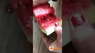 Download lagu Bugs in the watermelon 😦😦😦😦 mp3