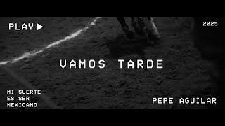 Vamos Tarde Lyrics English Translation