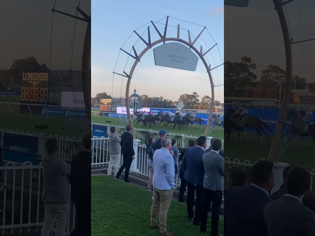 Vídeo relacionado con Horse Racing Betting Log Book: Perfect Notebook for Horse Racing Lovers | Monthly Profit Tracker | Diary for Tracking Race Meeting, Horse, Odds, Stake and Results | Gift for Father, Grandfather