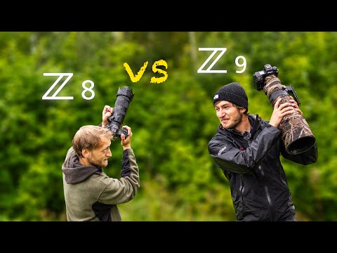 Nikon Z8 or Z9 - Which is the right camera for YOU?