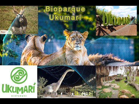 Bioparque Ukumari, Ecoparque, Turismo, Zoologico
