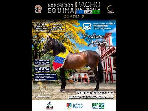 EXPOEQUINA GRADO "B" PACHO - CUNDINAMARCA - DIA 1 - TROCHA Y GALOPE /TROCHA COLOMBIANA .