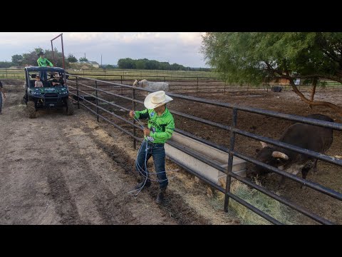 Owning Texas: Austin vs. Fort Worth Battle for the Land.com Texas Cup