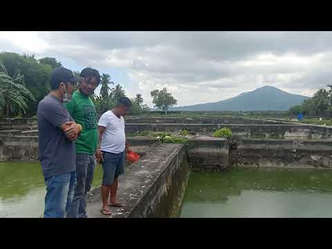 Enhancing Algal Protein Requirement of Fishponds Using Vermicasts/composts