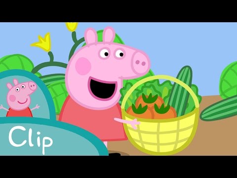 Peppa Pig_Ramasser des légumes