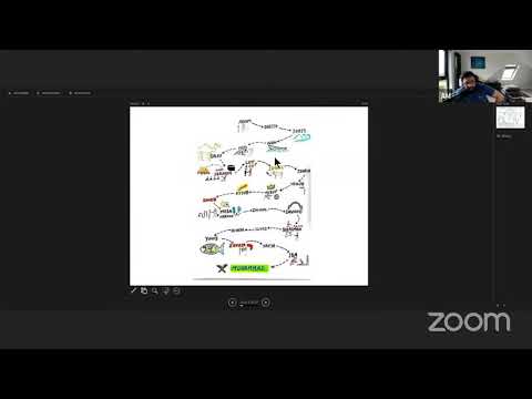 Seerah 2021 - History of Ramadan