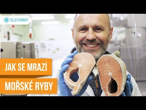 Bonfood inspiruje: Jak se mrazí mořské ryby