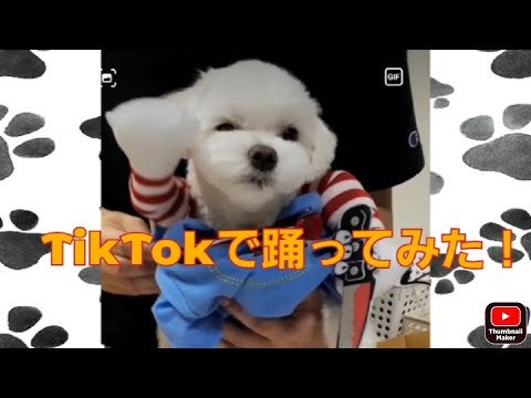 ミック・フリートウッド:こうして彼は思いがけずTikTokスターになった