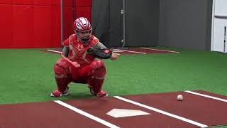 [情報] MLB 球隊要求球探先回家/辦公室