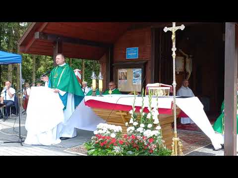 Fragment Mszy Świętej z Ewangelią i Kazaniem.