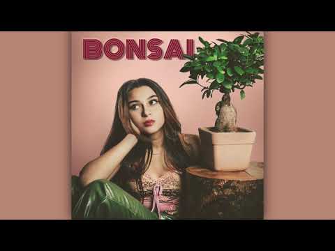 bonsai-Miriam Volonnino