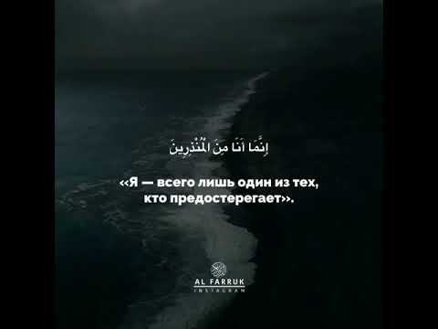 Это мир прекрасно(32)