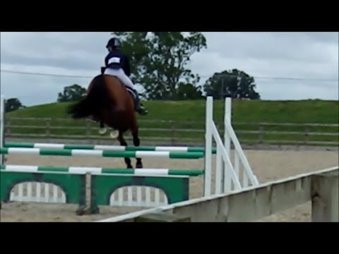 Dev at West Wilts 90 and 100cm 14/06/16