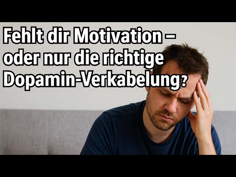 Warum manche Leute Sport lieben – und dein Gehirn es auch lernen kann