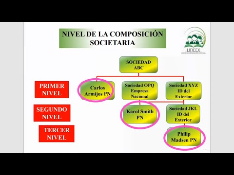 Anexo de Partícipes y Socios (APS) en el 2024 | Guía Detallada y Ejemplos Prácticos