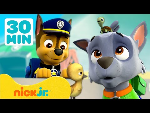 Capa de Patrulha Canina | Quando os Animais Invadem a Torre de Observação! | 30 Minutos | Nick Jr.