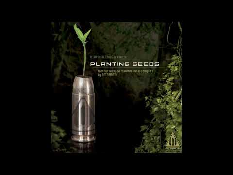 Tetrameth - Suburban Sorcerer