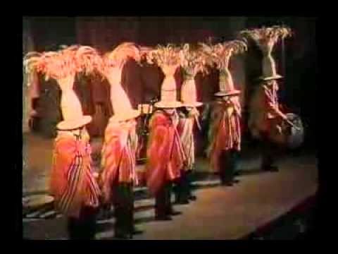 DVD "Arak Pacha - Por los Senderos del Indio"