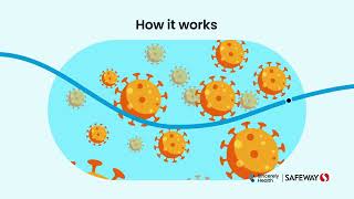 The Flu Shot | Flu Shot Effectiveness and Flu Shot Safety Information
