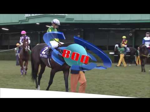 2016/11/20 第33回 マイルCS（GⅠ）