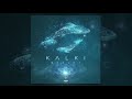 Kalki - Whales (Original Mix)