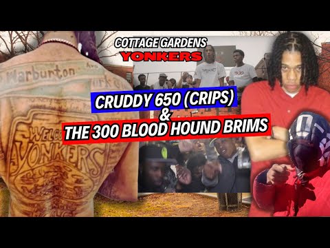 Yonkers - Cottage Gardens - Cruddy 650 (Crips) & The 300 Blood Hound Brims