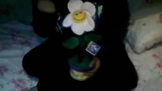 YOU ARE MY SUNSHINE! Dancing flower - one of most pointless videos ever !