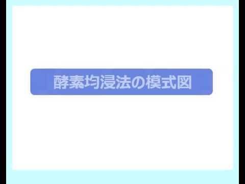 独自技術〈酵素均浸法〉のご紹介