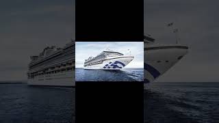 Diamond Princess 6th cruise