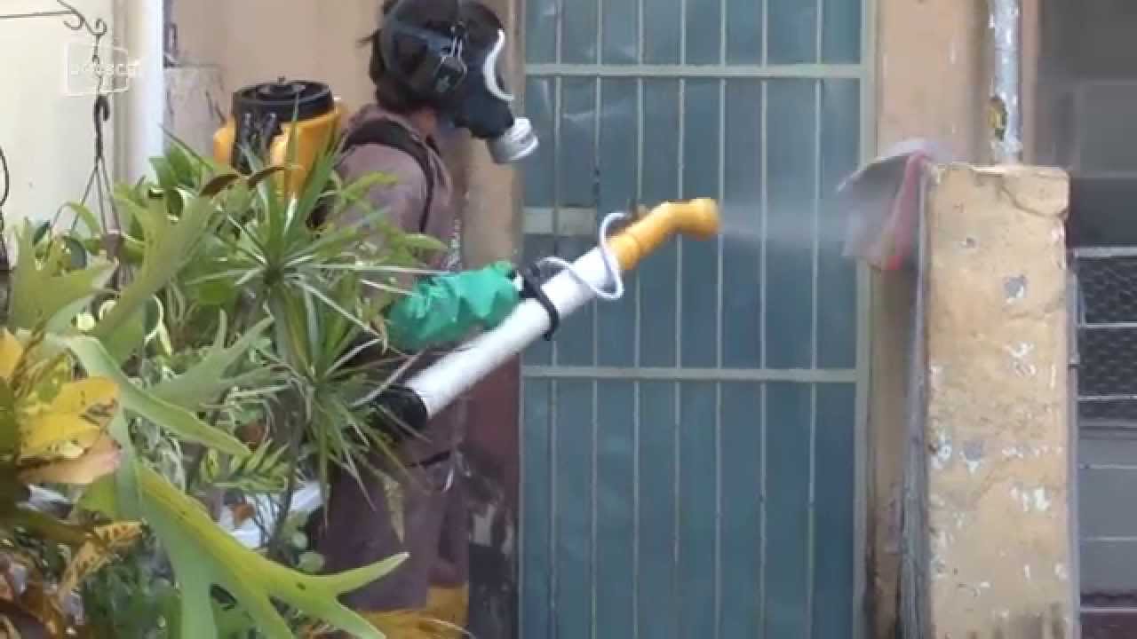 Pulverização em combate a dengue é feita em São Caetano; veja vídeo 