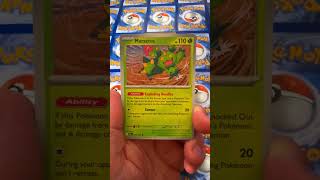 lets take a journey TOGETHER #pokemon #collection #pokemontcg #pokemoncards #pokémon #charizard