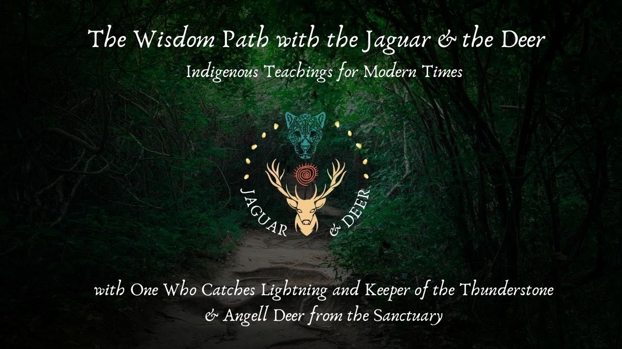 The Wisdom Path: Surrender Skill for the Spiritual Path