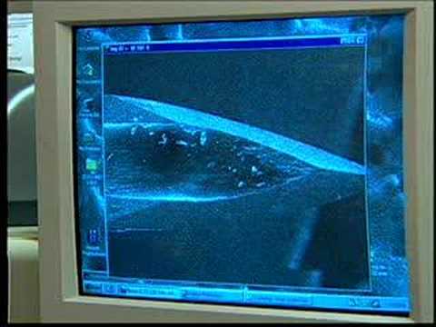 World Business Review - Analytical Answers