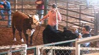 preview picture of video 'Chelsie Cattle Show - Pearl River County Cattlemen's Association - PRC'