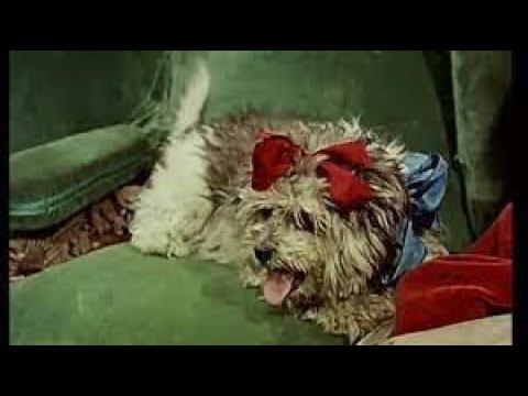 Bubico de Ion Luca Caragiale - Mofturi 1900-1964