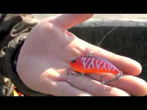 Action Demo #5 - Realis Vibration 62