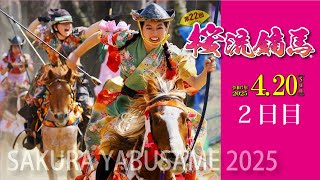 【桜並木を疾走する馬】2025「第22回桜流鏑馬」2日目記録映像