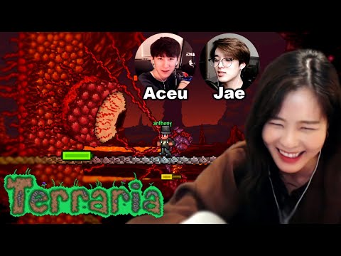 39daph Plays Terraria - w/ Ace & Day6 Jae Part 1